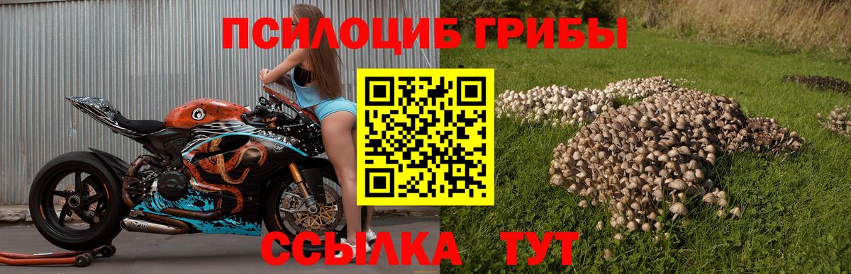 Галлюциногенные грибы Magic Shrooms  Вход с VPN  Ишим  Галлюциногенные грибы Cubensis 